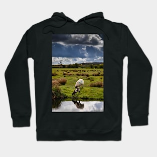 Sheep and lamb Hoodie